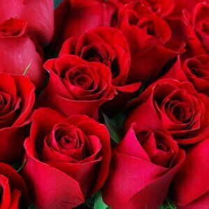 Meet your Posher, brilliant_finds